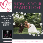 Show us your Paw-Fect Love Wedding Dress Fundraiser